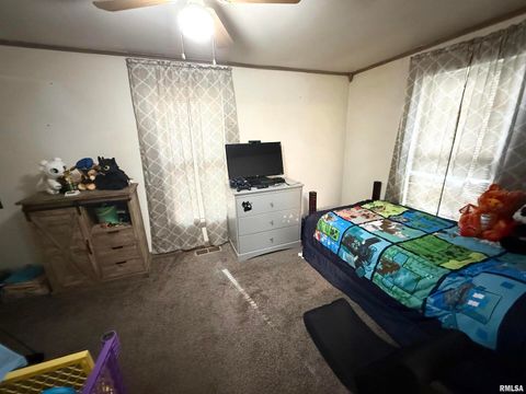 Tiny photo for 116 N WILSON Street, Hurst, IL 62949 (MLS # EB460430)