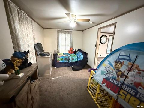 Tiny photo for 116 N WILSON Street, Hurst, IL 62949 (MLS # EB460430)