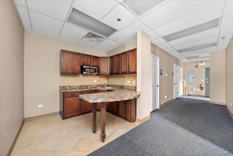 Tiny photo for 19558 S Harlem Avenue #5, Frankfort, IL 60423 (MLS # 12524910)