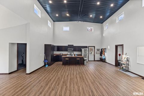 Tiny photo for 7984 WILSON Road, Kinmundy, IL 62854 (MLS # EB460486)