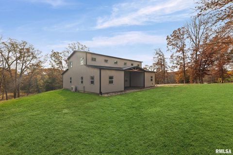 Tiny photo for 7984 WILSON Road, Kinmundy, IL 62854 (MLS # EB460486)