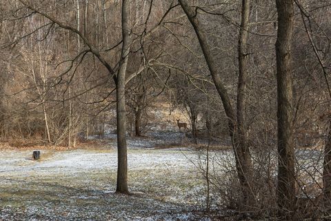 Tiny photo for 11063 95TH Avenue, Blue Grass, IA 52726 (MLS # 12557366)