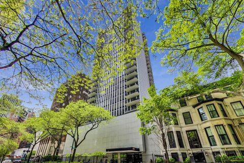 1230 N State Parkway 8C Chicago IL 60610