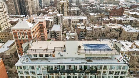 Tiny photo for 450 W BRIAR Place #13D, Chicago, IL 60657 (MLS # 12541396)