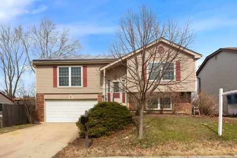 Photo of 4 Lexington Court, Streamwood, IL 60107 (MLS # 12577583)