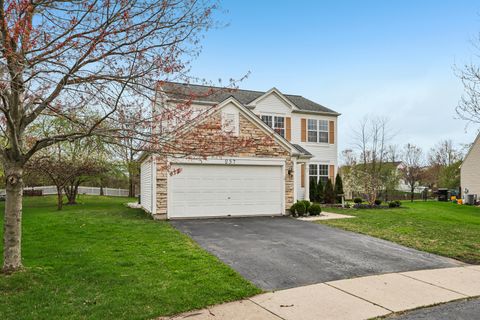 Tiny photo for 257 Indian Ridge Lane SE, Lake Villa, IL 60046 (MLS # 12621422)
