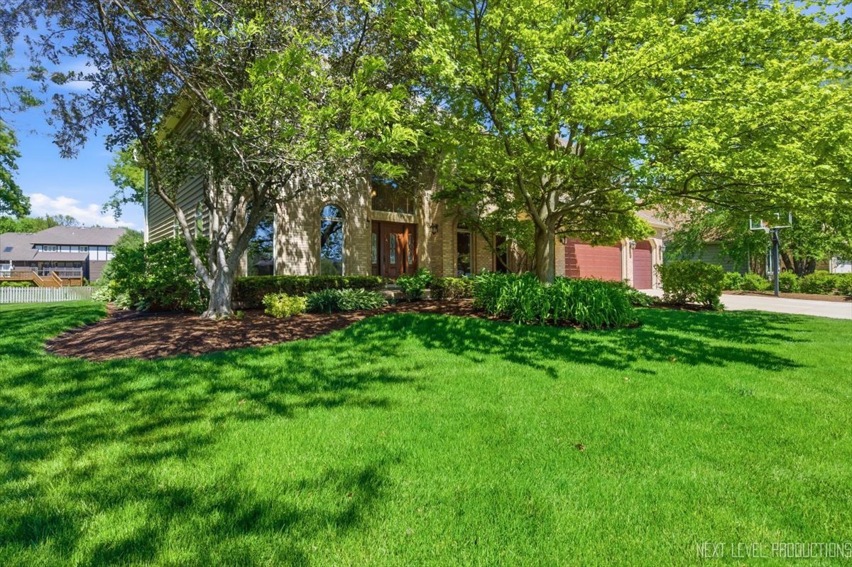 230 Persimmon Drive
