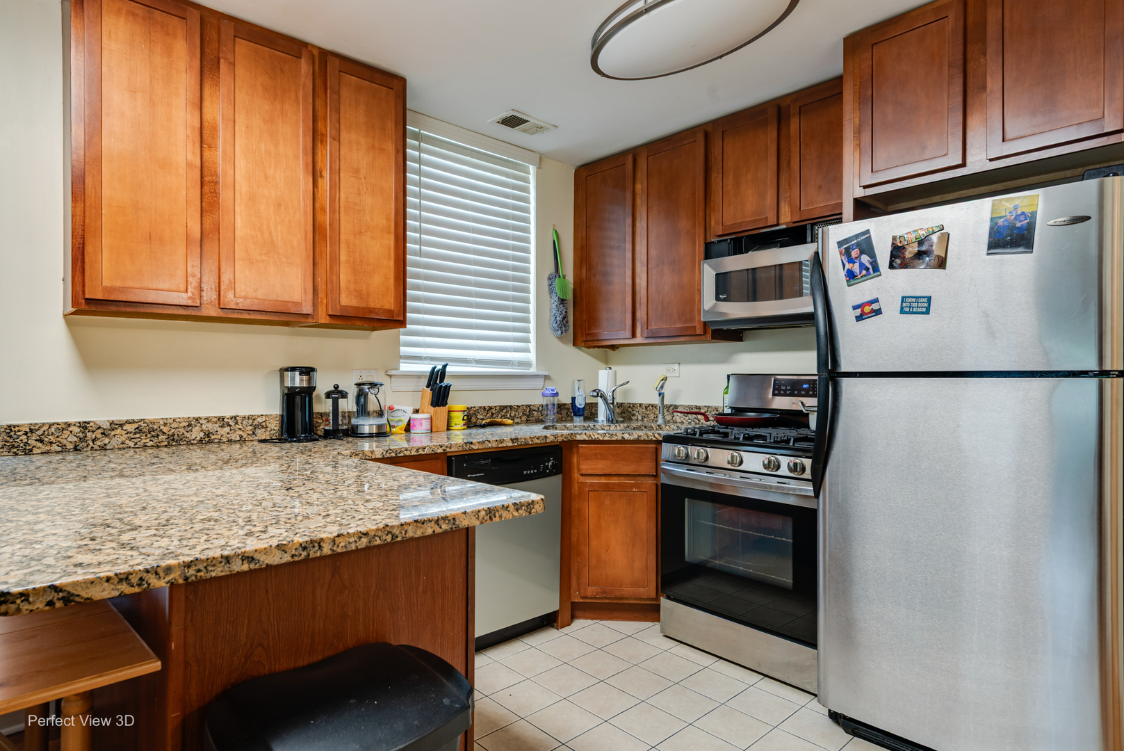 2501 W Touhy Avenue 203