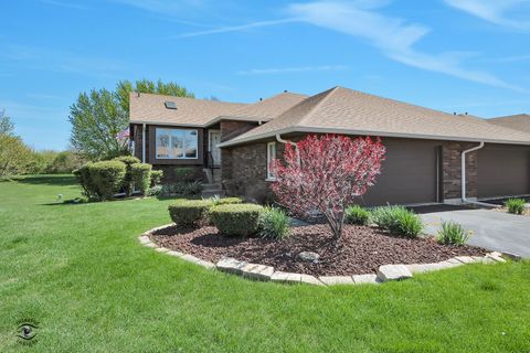 Photo of 8827 Clearview Drive, Orland Park, IL 60462 (MLS # 12627119)