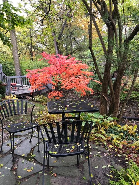 Tiny photo for 11515 BURR OAK Lane, Burr Ridge, IL 60527 (MLS # 12589391)