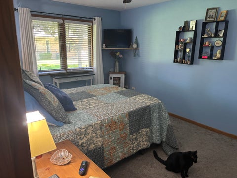 Tiny photo for 831 Deerpath Lane, Elwood, IL 60421 (MLS # 12775998)