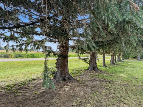 Tiny photo for 2016 E 2100 North Road, Watseka, IL 60970 (MLS # 12773395)
