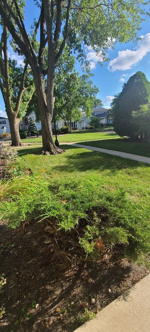 Tiny photo for 1556 Quaker Lane #174b, Prospect Heights, IL 60070 (MLS # 12630033)