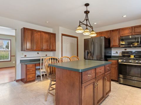 Tiny photo for 377 Blackfoot Drive, Bolingbrook, IL 60490 (MLS # 12463945)