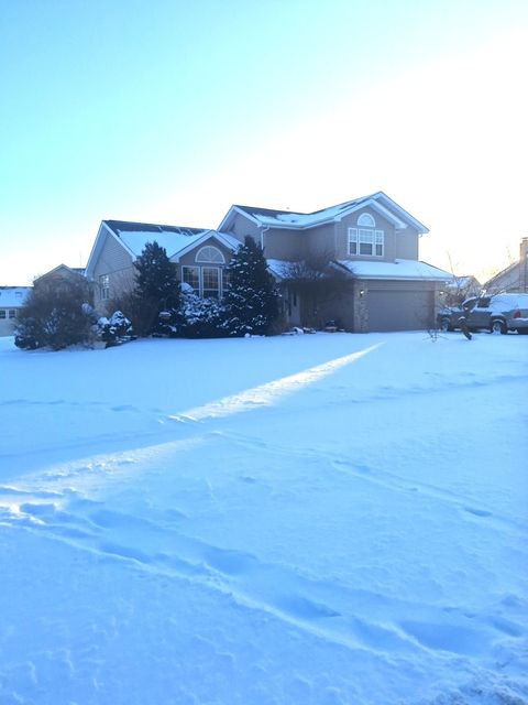 Photo of 8021 W Old Mill Road, Frankfort, IL 60423 (MLS # 12554375)