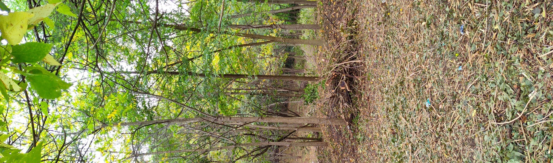 11 Rohrssen Lot 4 Road