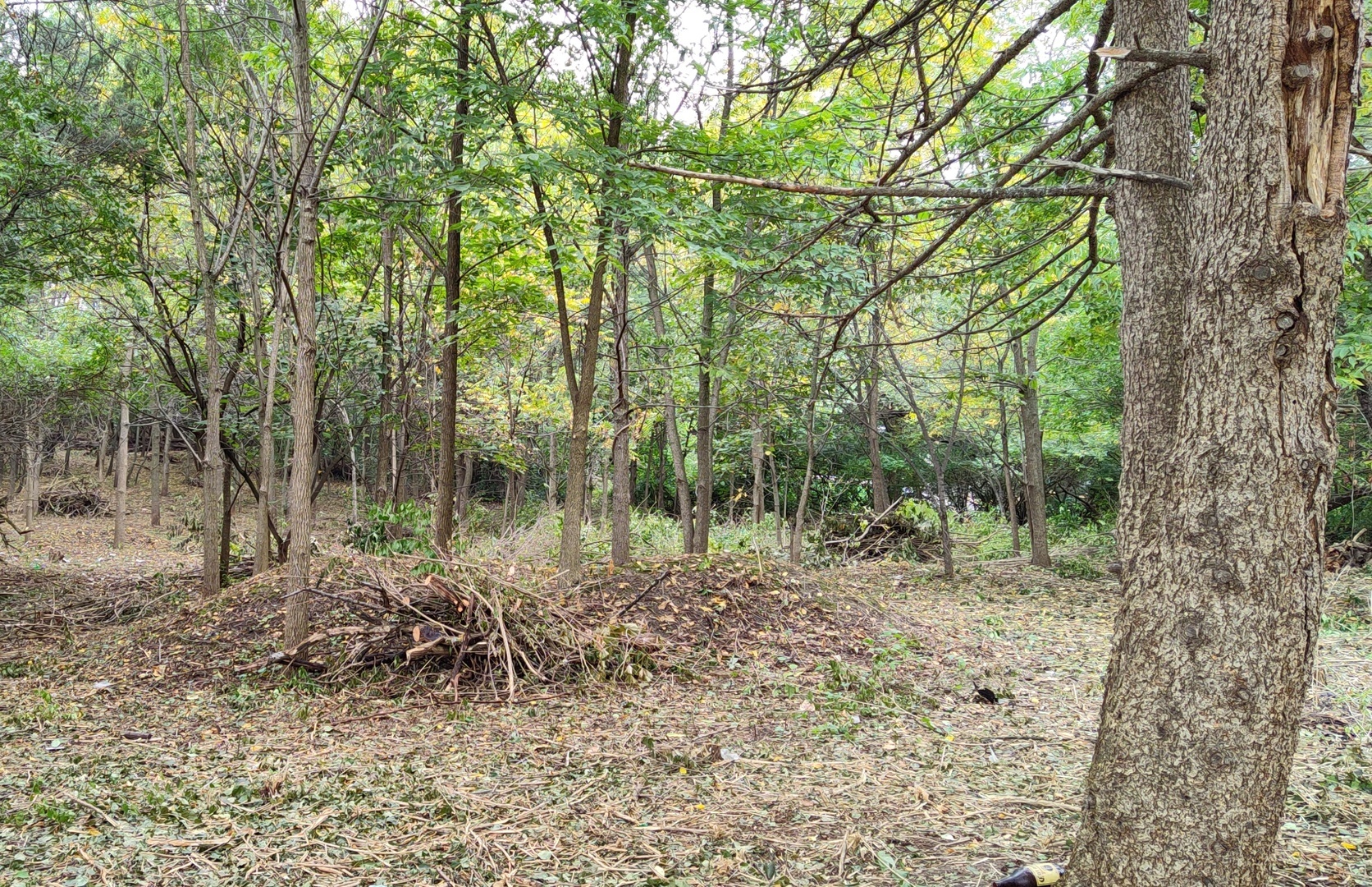 11 Rohrssen Lot 4 Road