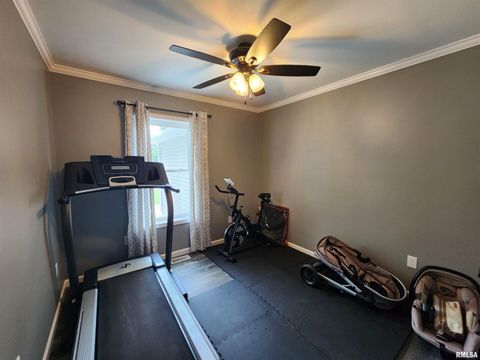 Tiny photo for 1009 TROLLEY Street, Eldorado, IL 62930 (MLS # QC4265347)