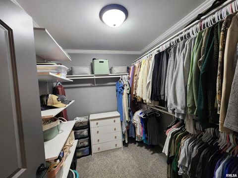 Tiny photo for 1009 TROLLEY Street, Eldorado, IL 62930 (MLS # QC4265347)