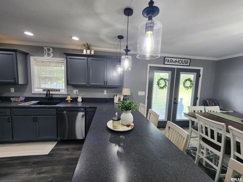 Tiny photo for 1009 TROLLEY Street, Eldorado, IL 62930 (MLS # QC4265347)