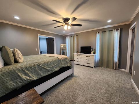 Tiny photo for 1009 TROLLEY Street, Eldorado, IL 62930 (MLS # QC4265347)