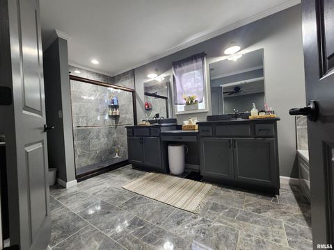 Tiny photo for 1009 TROLLEY Street, Eldorado, IL 62930 (MLS # QC4265347)