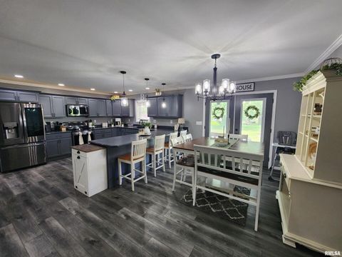 Tiny photo for 1009 TROLLEY Street, Eldorado, IL 62930 (MLS # QC4265347)