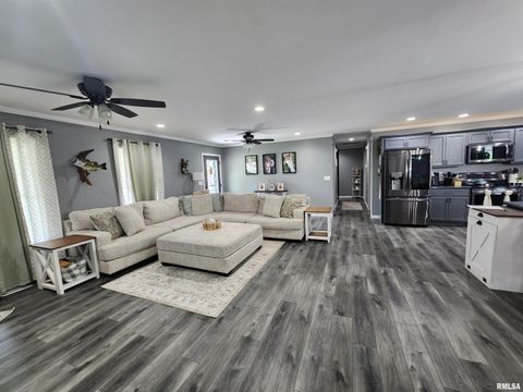 Tiny photo for 1009 TROLLEY Street, Eldorado, IL 62930 (MLS # QC4265347)