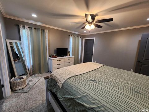 Tiny photo for 1009 TROLLEY Street, Eldorado, IL 62930 (MLS # QC4265347)