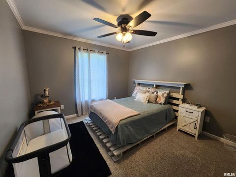 Tiny photo for 1009 TROLLEY Street, Eldorado, IL 62930 (MLS # QC4265347)