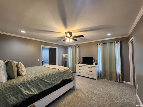 Tiny photo for 1009 TROLLEY Street, Eldorado, IL 62930 (MLS # QC4265347)