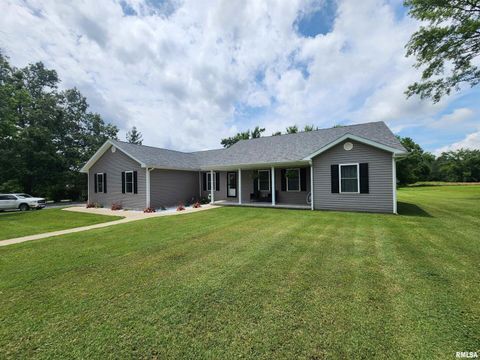 Tiny photo for 1009 TROLLEY Street, Eldorado, IL 62930 (MLS # QC4265347)