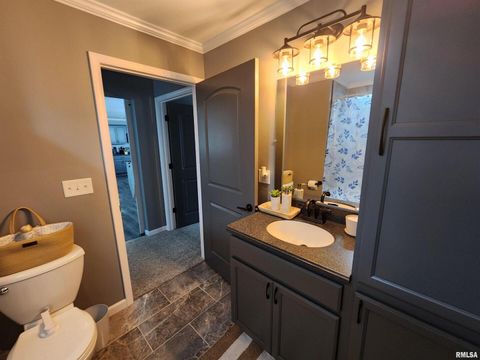 Tiny photo for 1009 TROLLEY Street, Eldorado, IL 62930 (MLS # QC4265347)