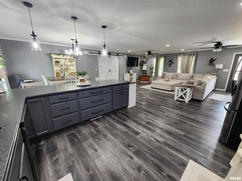 Tiny photo for 1009 TROLLEY Street, Eldorado, IL 62930 (MLS # QC4265347)