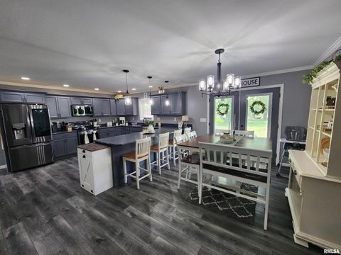 Tiny photo for 1009 TROLLEY Street, Eldorado, IL 62930 (MLS # QC4265347)