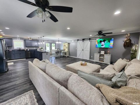 Tiny photo for 1009 TROLLEY Street, Eldorado, IL 62930 (MLS # QC4265347)