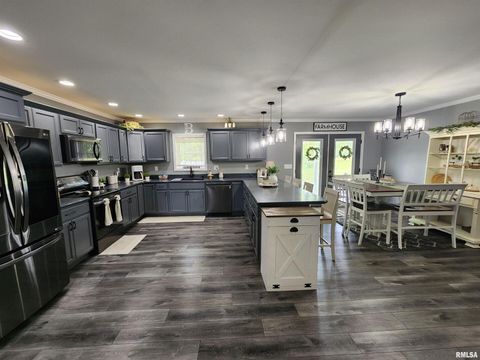 Tiny photo for 1009 TROLLEY Street, Eldorado, IL 62930 (MLS # QC4265347)