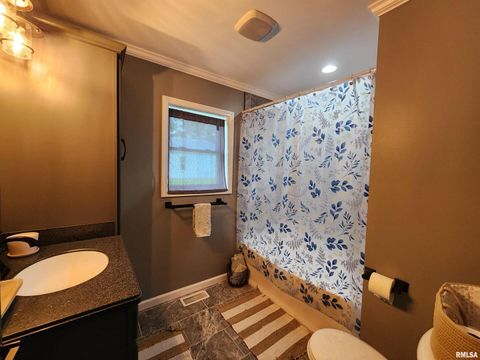 Tiny photo for 1009 TROLLEY Street, Eldorado, IL 62930 (MLS # QC4265347)