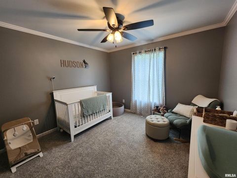 Tiny photo for 1009 TROLLEY Street, Eldorado, IL 62930 (MLS # QC4265347)