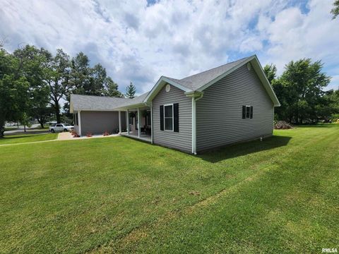 Tiny photo for 1009 TROLLEY Street, Eldorado, IL 62930 (MLS # QC4265347)