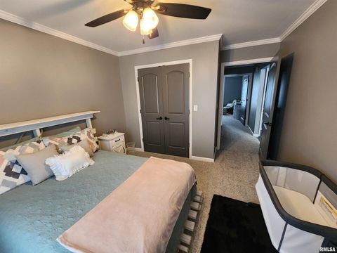 Tiny photo for 1009 TROLLEY Street, Eldorado, IL 62930 (MLS # QC4265347)