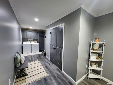 Tiny photo for 1009 TROLLEY Street, Eldorado, IL 62930 (MLS # QC4265347)