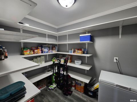 Tiny photo for 1009 TROLLEY Street, Eldorado, IL 62930 (MLS # QC4265347)