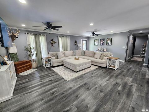 Tiny photo for 1009 TROLLEY Street, Eldorado, IL 62930 (MLS # QC4265347)