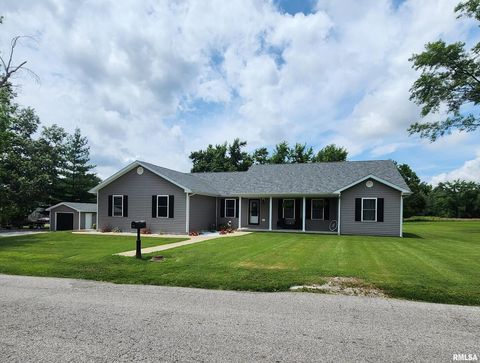 Photo of 1009 TROLLEY Street, Eldorado, IL 62930 (MLS # QC4265347)