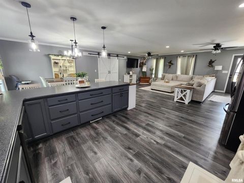 Tiny photo for 1009 TROLLEY Street, Eldorado, IL 62930 (MLS # QC4265347)