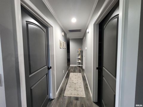 Tiny photo for 1009 TROLLEY Street, Eldorado, IL 62930 (MLS # QC4265347)