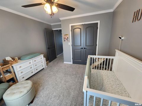 Tiny photo for 1009 TROLLEY Street, Eldorado, IL 62930 (MLS # QC4265347)