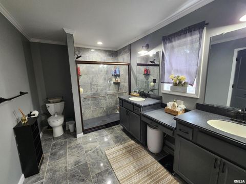 Tiny photo for 1009 TROLLEY Street, Eldorado, IL 62930 (MLS # QC4265347)