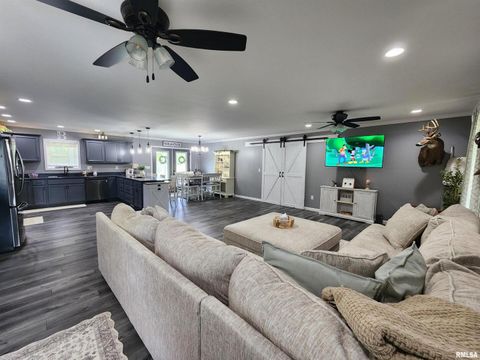 Tiny photo for 1009 TROLLEY Street, Eldorado, IL 62930 (MLS # QC4265347)